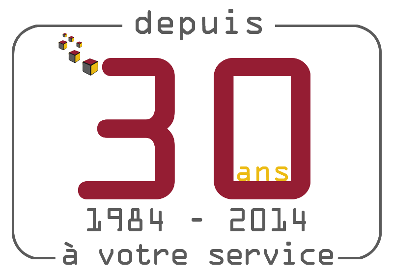 Logo anniversaire 30 ans CRIF Informatique